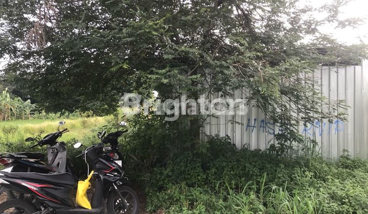 CHEAP RICE FIELD WEST CEBONGAN CHEAP RICE FIELD WEST CEBONGAN