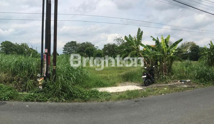DIJUAL TANAH SAWAH KERING DIJUAL TANAH SAWAH KERING
