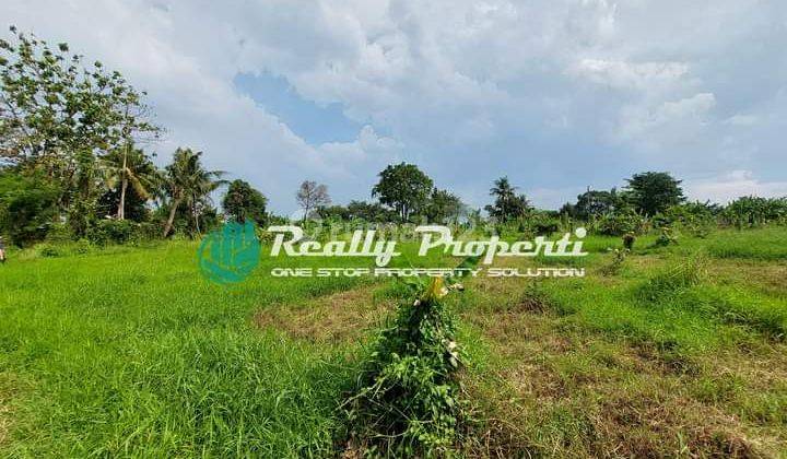 Di Jual Tanah Luas Cocok Buat Cluster Di Jatiwarna Bekasi 1