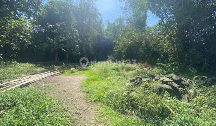 Rumah Bonus Tanah Luas di Jogonalan Free SHM 5