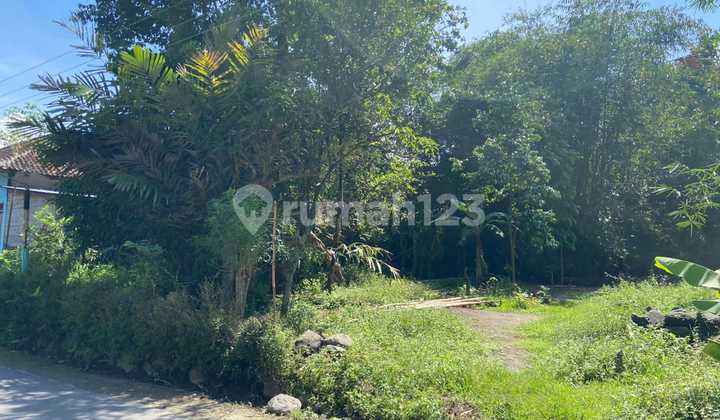 Rumah Bonus Tanah Luas di Jogonalan Free SHM 6