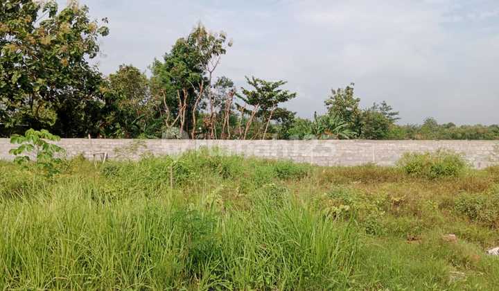 Rumah Scandinavian Dijual Murah Siap Huni di Jebugan Klaten 6