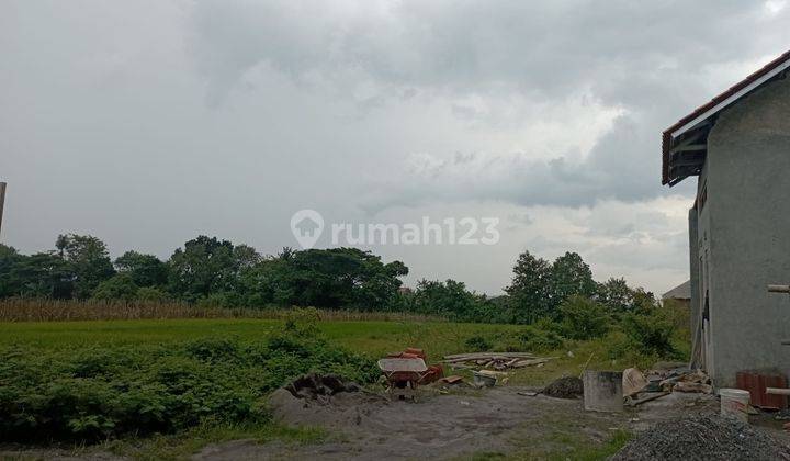 Rumah Minimalis Dijual Murah di Tambong Kalikotes Siap Nego 8