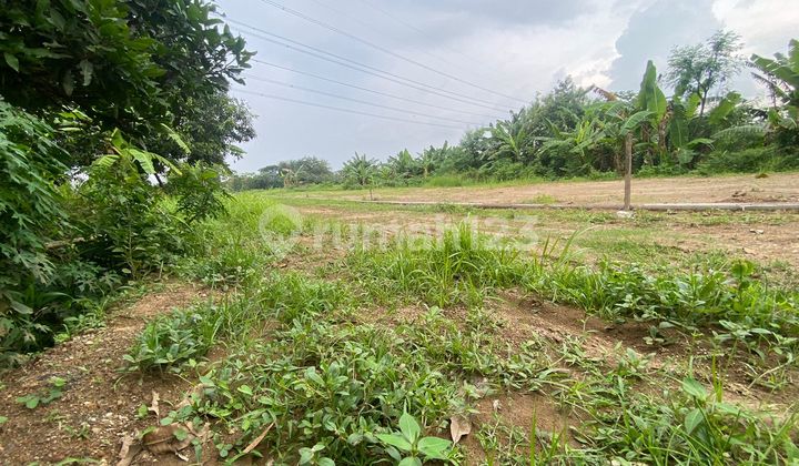 Tanah Kavling Dijual Murah di Belang Wetan Klaten Legalitas SHM 6