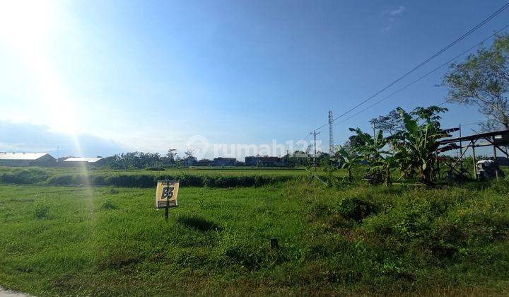 Tanah Kavling Dijual Harga Murah Di Klaten Dekat Pemda Klaten 1