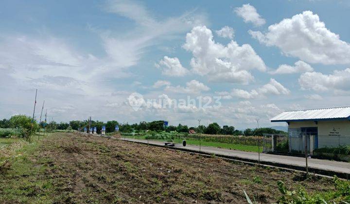 Tanah Siap Bangun 86 m2 SHM Jogonalan, Klaten 1