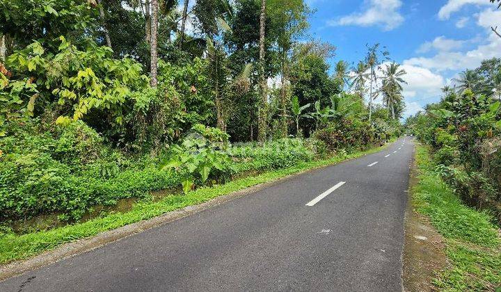 Tanah dengan mata air di Marga Tabanan Bali 1