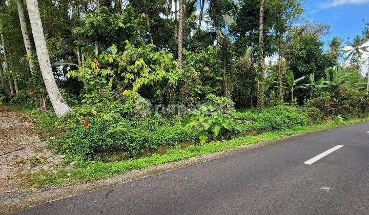 Tanah dengan mata air di Marga Tabanan Bali 2