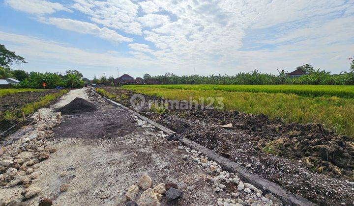 Plot of land ready for habitation in Nyitdah Kediri Tabanan 2