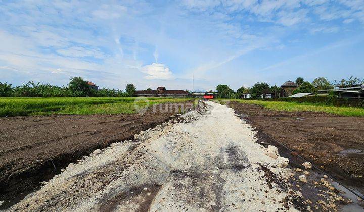 Plot of land ready for habitation in Nyitdah Kediri Tabanan 1