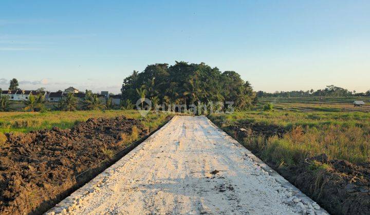 Cheap kavling land in Senampahan Kediri Tabanan 1