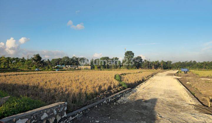 Cheap kavling land in Senampahan Kediri Tabanan 2