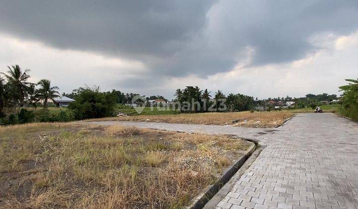 Tanah Kavling Harga Ekonomis view sawah di jalan yeh gangga gubug tabanan 2