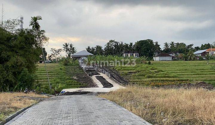 Tanah Kavling Harga Ekonomis view sawah di jalan yeh gangga gubug tabanan 1