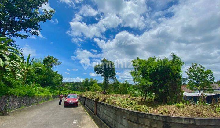 Tanah cocok dijadikam perumahan atau kavlingan di Pering Gianyar  2