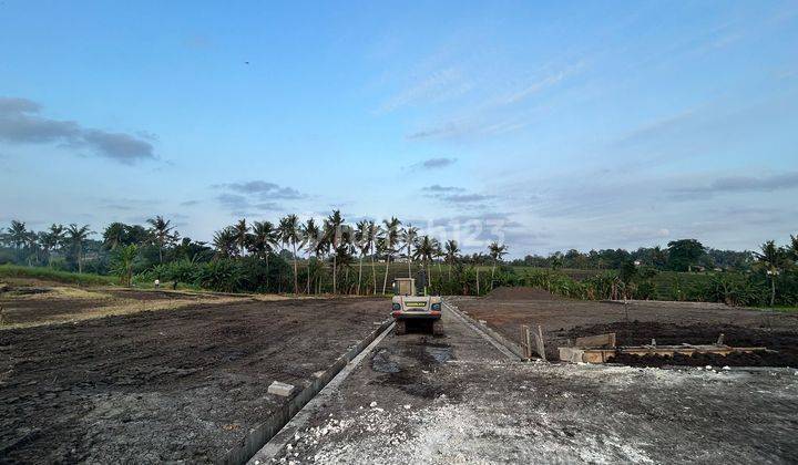 Exclusive plot of land on Jalan Yeh Gangga Gubug Tabanan 1