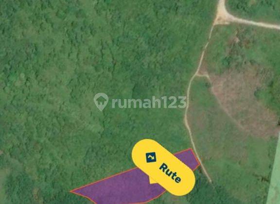 Dijual Tanah Strategis Bagus Mariango Sotek Kalimantan Timur Super Murah 2