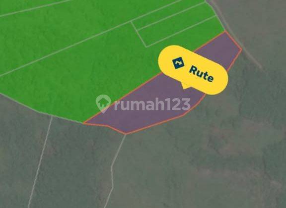 Dijual Tanah Strategis Bagus Mariango Sotek Kalimantan Timur Super Murah 4