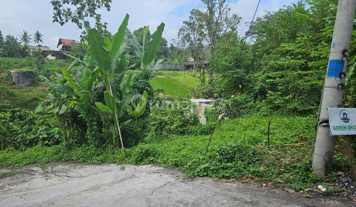 Mural Land for Sale in Tabanan, Bali Strategic Location for Villa 2