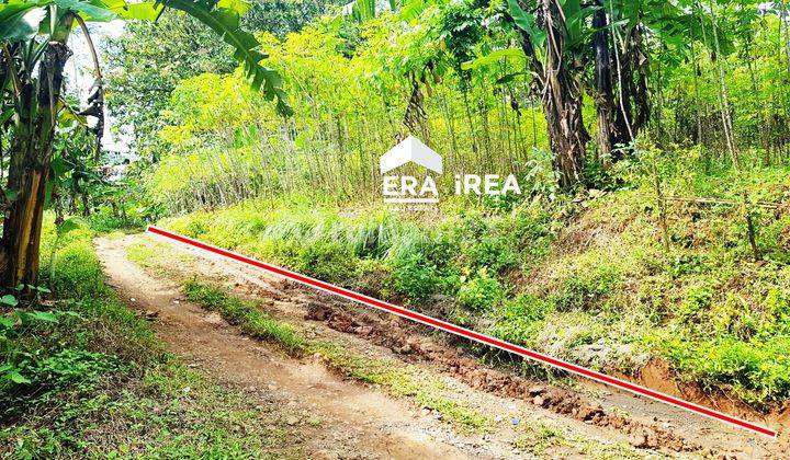 di Jual Murah Tanah Gunung Pati Semarang 2