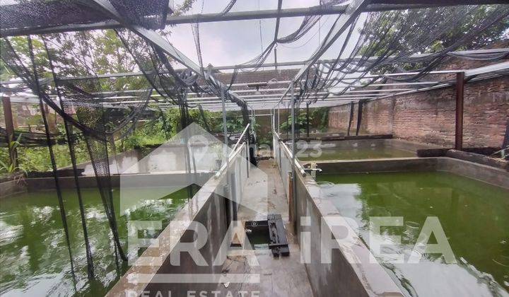 Rumah dan ruang usaha lokasi palur karanganyar 8