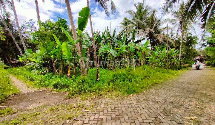 Tanah di Sendangagung minggir sleman dekat kelurahan  1