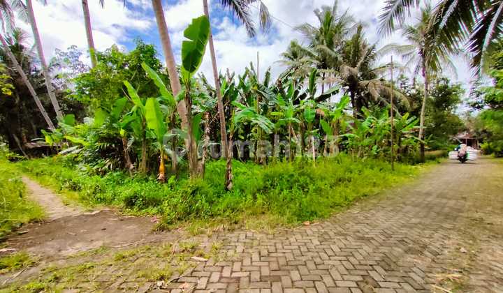 Tanah di Sendangagung minggir sleman dekat kelurahan  3