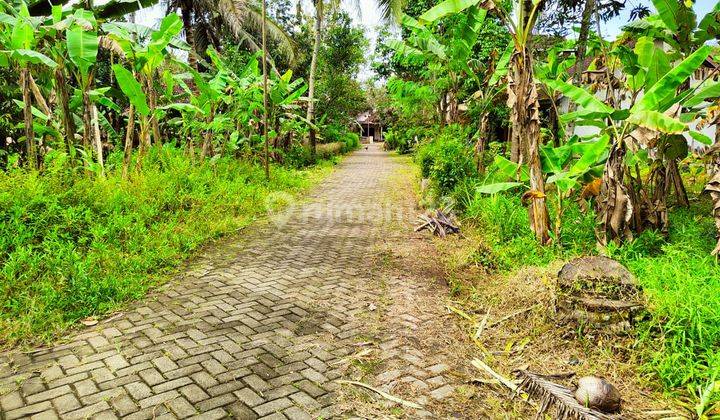 Tanah di Sendangagung minggir sleman dekat kelurahan  4
