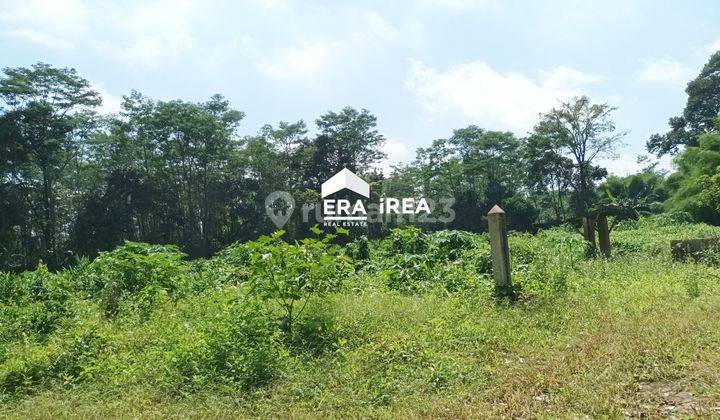 di Jual Murah Ruang Usaha Si Gandu di Batang 3