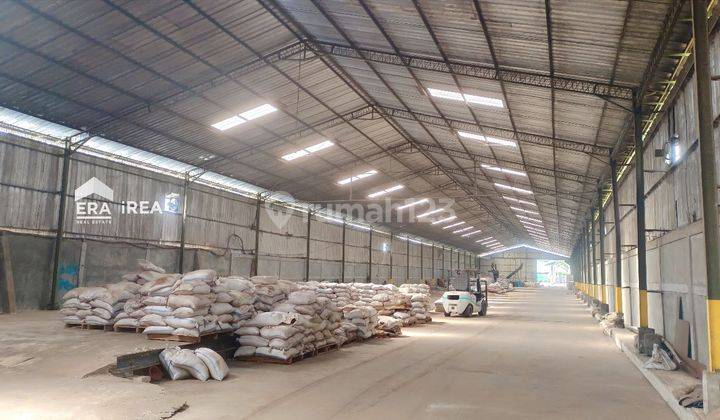 Di Sewakan Cepat Gudang Jl, Raya Arteri Kaliwungu Mororejo, Kendal 5