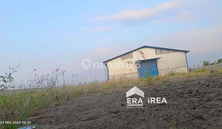 Di Jual Cepat Gudang Sarirejo arteri Kaliwungu, Kendal 5