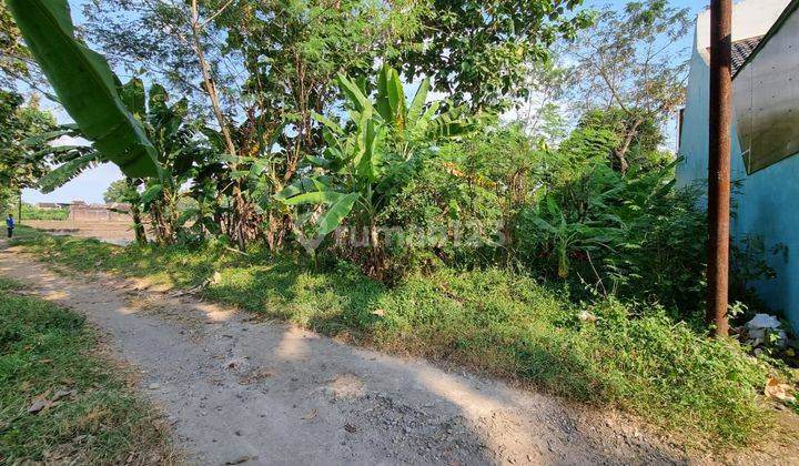 Di Jual Cepat Tanah Sapen Mojolaban,sukoharjo 2