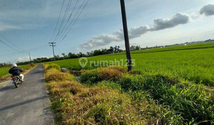 di Jual Cepat Tanah Geneng Gatak, Sukoharjo 2