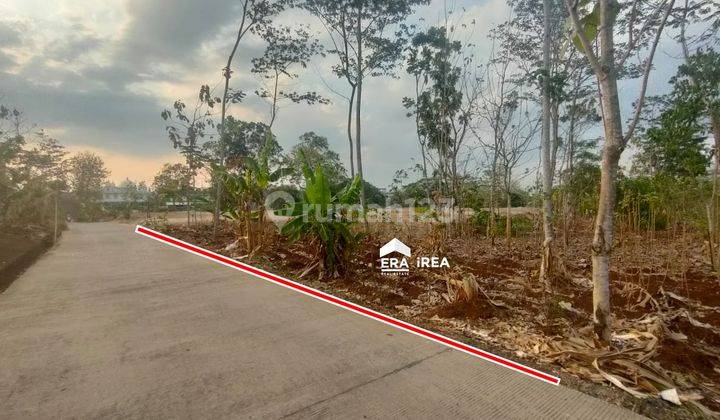 Jual Cepat Tanah Luas Siap Bangun di Tembalang Semarang 1