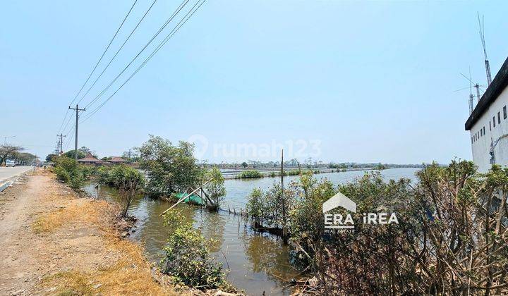 Jual Cepat Tanah Luas Cocok Buat Industri di Kota Kendal 2