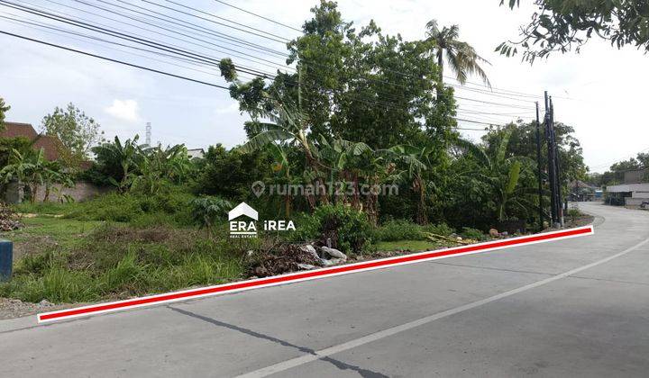  Jual Cepat Tanah Luas Dan SHM Siap Bangun Letak Strategis di Demak 1