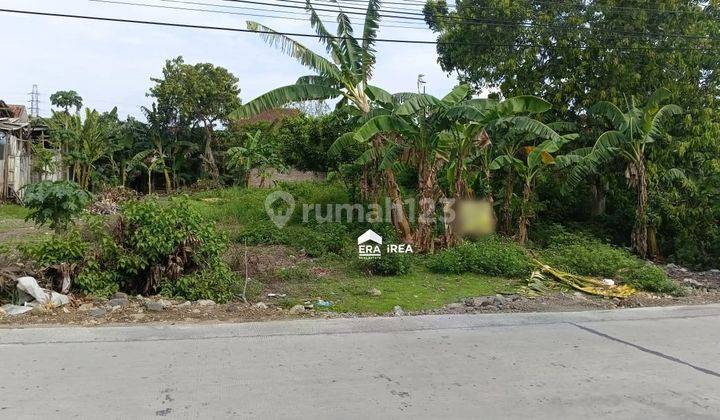  Jual Cepat Tanah Luas Dan SHM Siap Bangun Letak Strategis di Demak 2