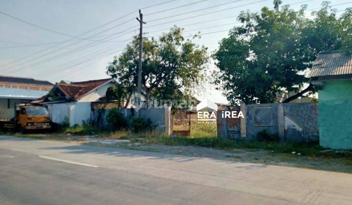 Tanah Murah Siap Bangun di Gubug Grobogan  1