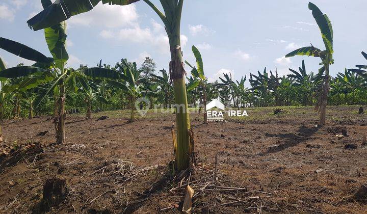 Tanah Murah Siap Bangun Dekat Area Kampus di Tembalang Semarang 2