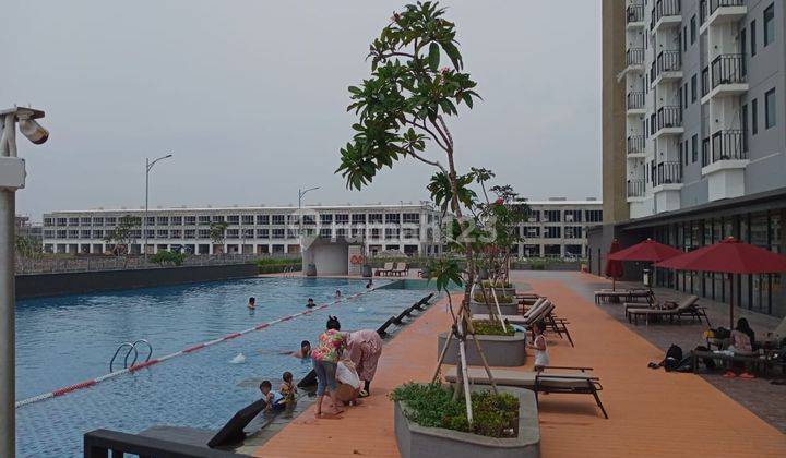 Sewa Studio Baru Apartment Osaka Pik 2 Harga Bersahabat 3
