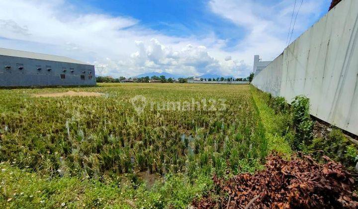 Tanah Kosong Dijual Luas Cocok Bangun Gudang di Mainroad Majalaya 2