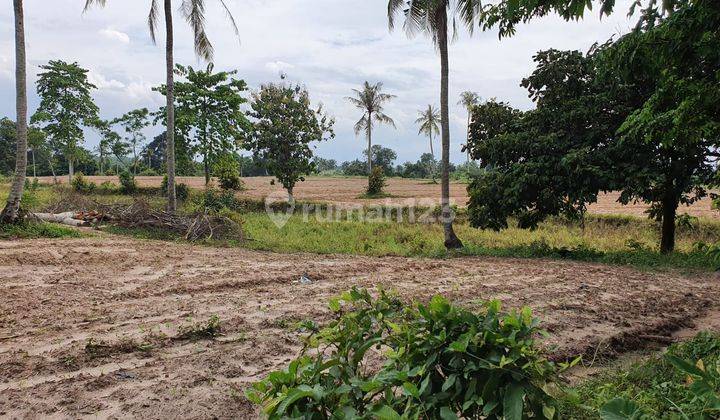 Harga Langka .. Tanah Dijual Luas di Sayap Branti Raya Lampung 2