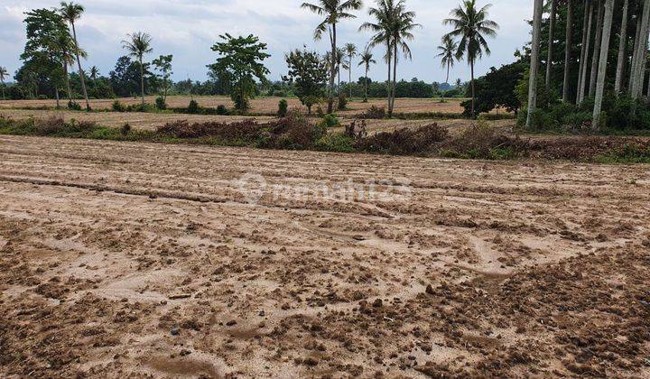 Harga Langka .. Tanah Dijual Luas di Sayap Branti Raya Lampung 1