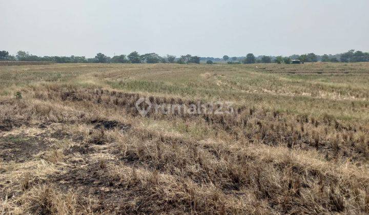 Tanah Dijual Luas Datar di Area Kertajati , Majalengka 1