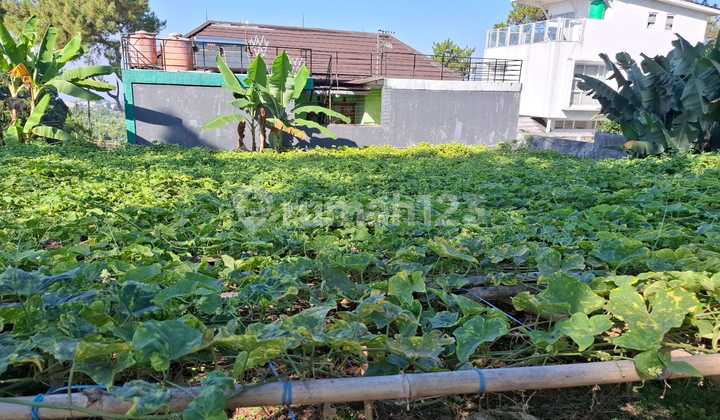 Land for Sale Strategically Located in Katumiri Area, Cihanjuang - Cimahi 07 Land for Sale Strategically Located in Katumiri Area, Cihanjuang - Cimahi 07