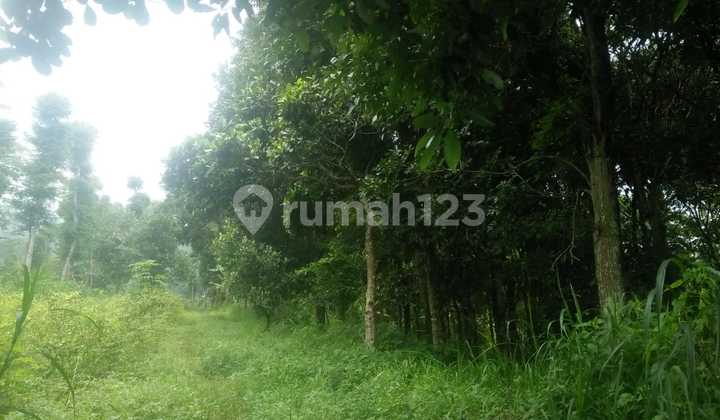 Tanah Dijual Luas Harga Langka di Area Cilengkrang, Bandung