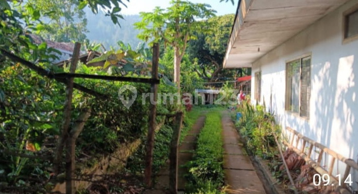 Tanah Kebun Dijual Bonus Bangunan di Area Cikole, Lembang 21