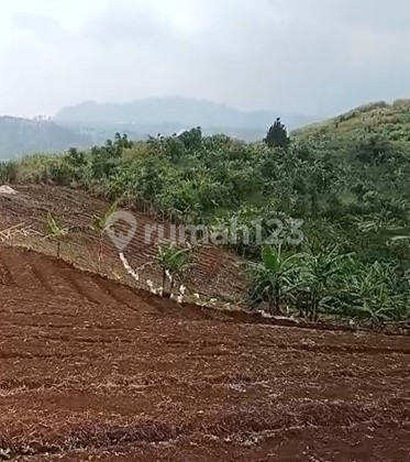 Land For Sale Very Large in Cibeber Area, Cianjur City Land For Sale Very Large in Cibeber Area, Cianjur City