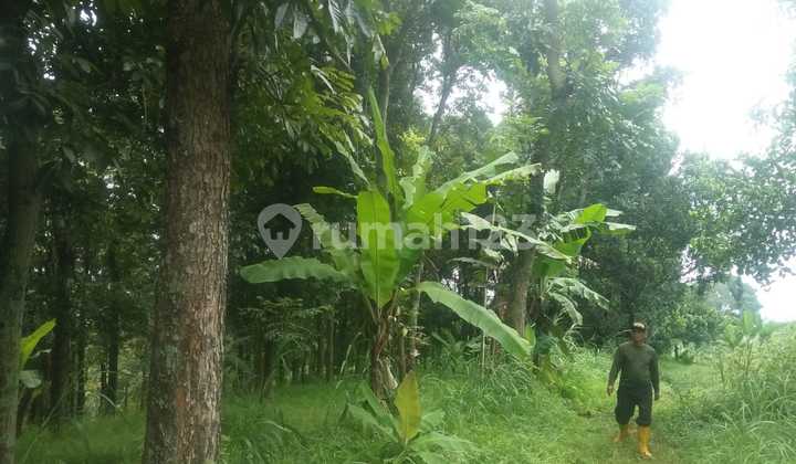 Tanah Dijual Luas Harga Langka di Area Cilengkrang, Bandung