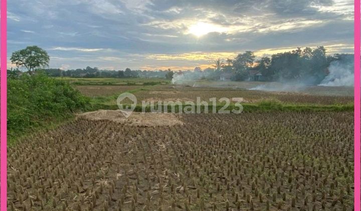 Dijual Tanah Padat Sawah Di Babat Legok Tangerang Banten. Lt 935 Dijual Tanah Padat Sawah Di Babat Legok Tangerang Banten. Lt 935